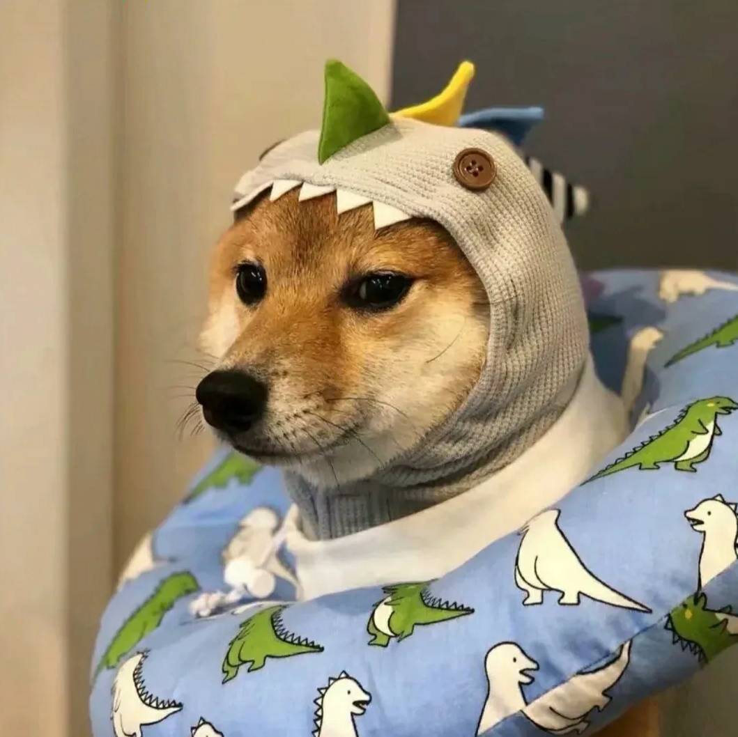 秋某纪录片传奇