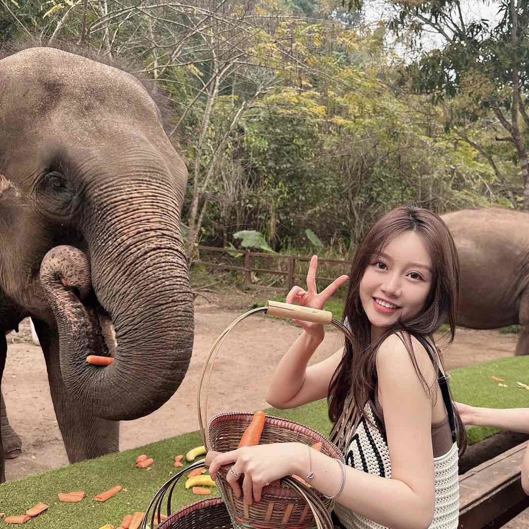 我叫嘉鹅