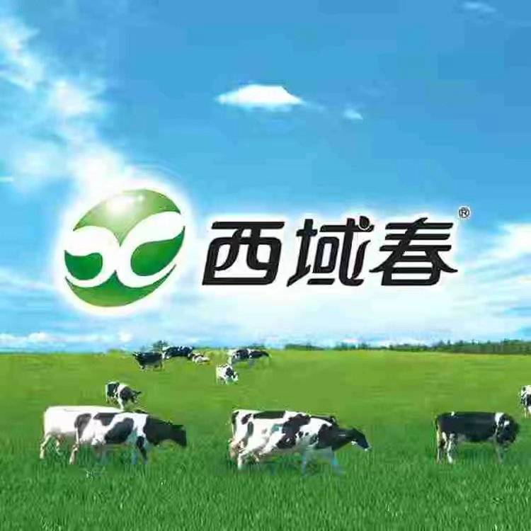 新疆西域春乳品店
