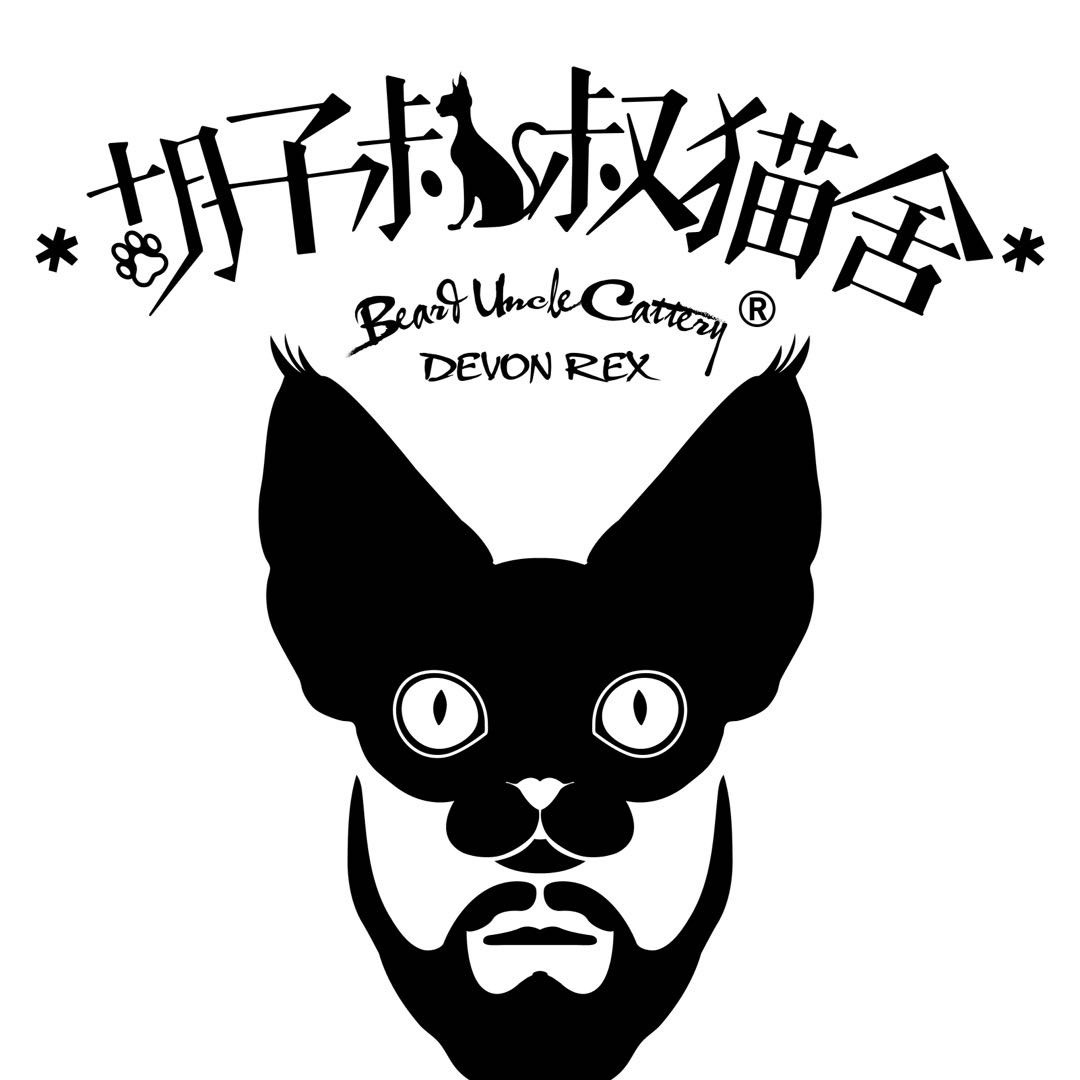 胡子叔叔德文卷毛猫