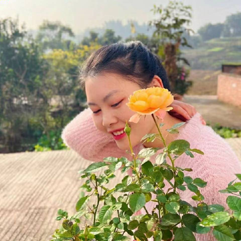 韩四姐的黎小梨