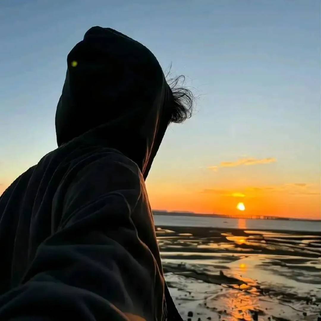 顾秋屿老六荒野剪辑师