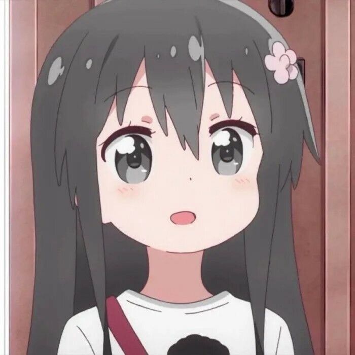 七宝纪录片
