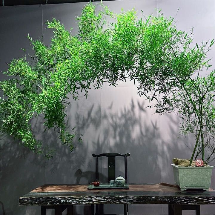 视频号家居家装排行榜第30名undefined,新榜指数524.2,新增作品数1,总推荐数417,平均推荐数417,最高推荐数417