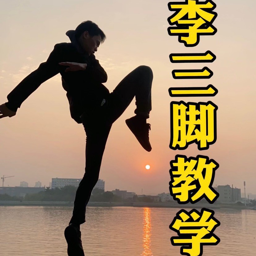 功夫虎教练