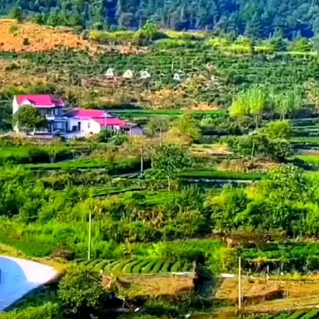 爱吐泡泡的卡秋莎