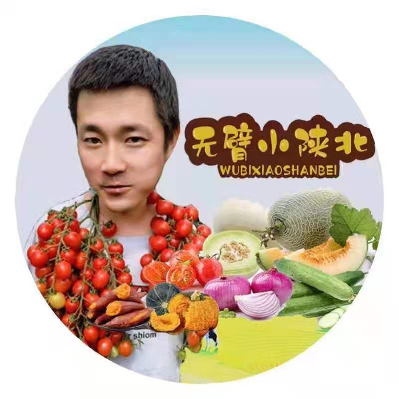 无臂小陕北