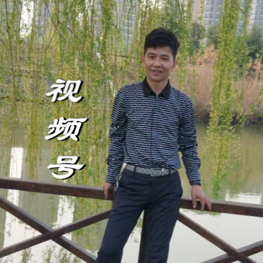 王辉口琴