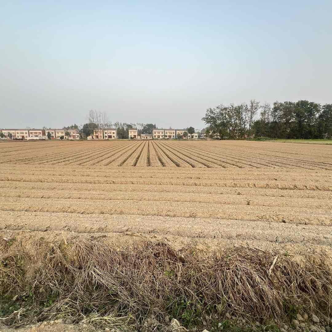 农村长大的磊哥