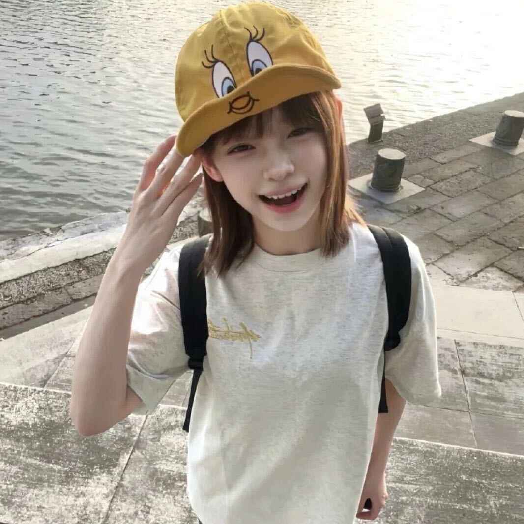 树荫下的小狗