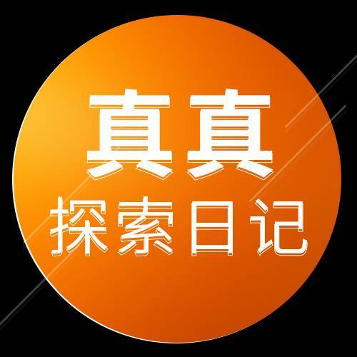 真真探索日记