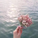 福满看剧