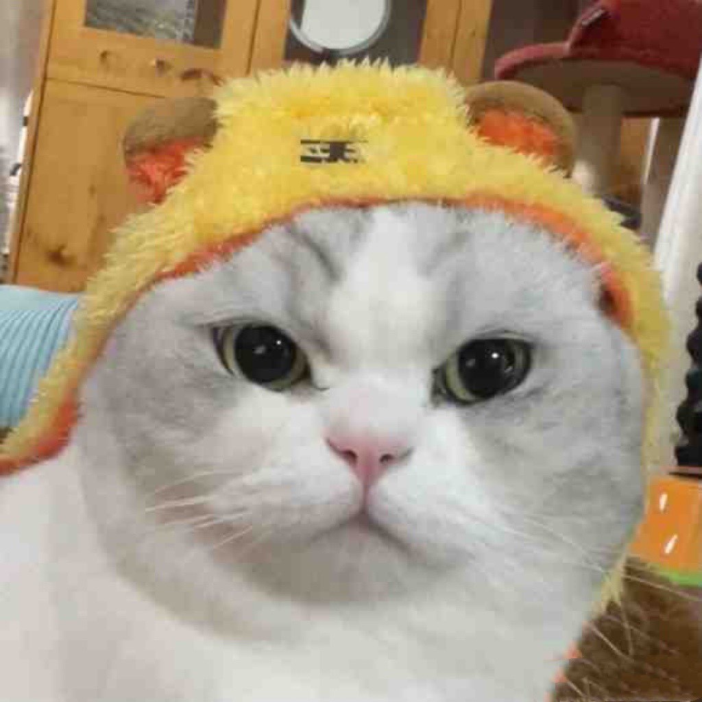 Hifumi的奇妙冒险