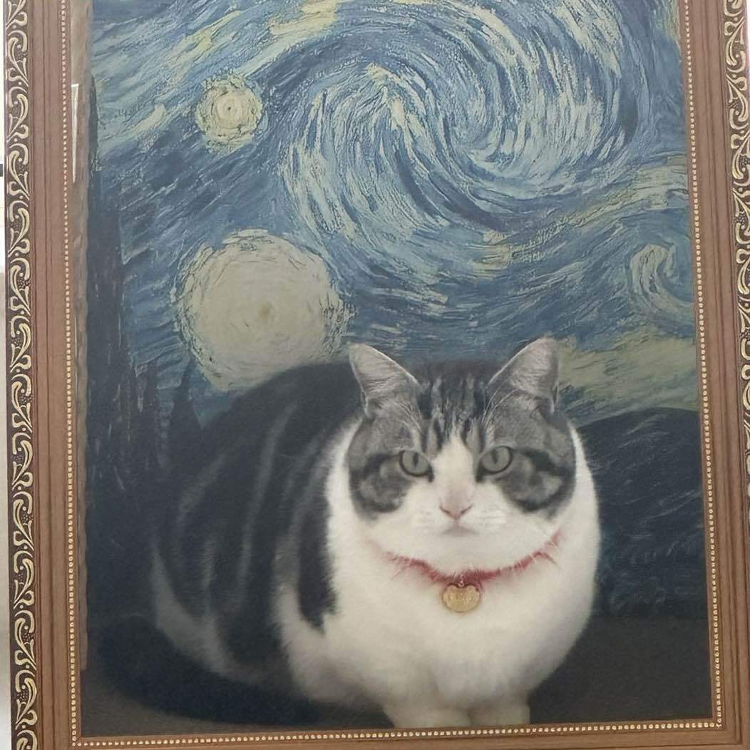 小男猫吴大P