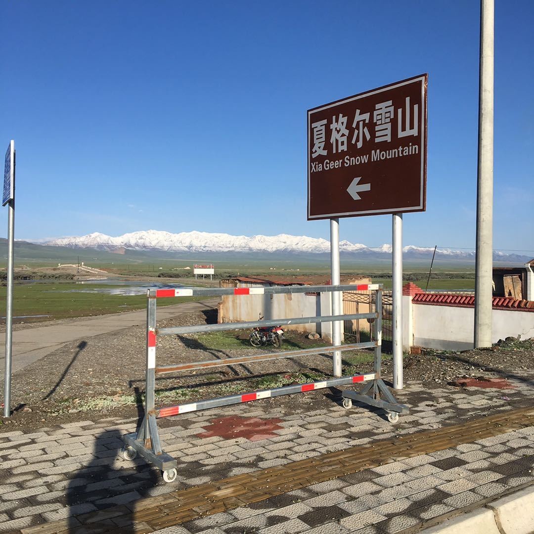 海贼王之最强大脑