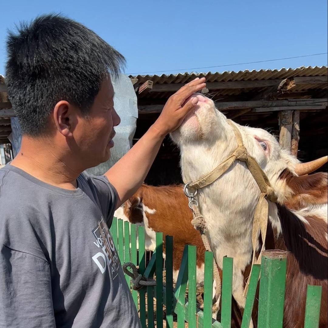 龙腾虎跃龙殿俊