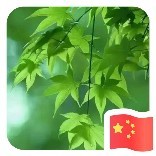 有温度的医者