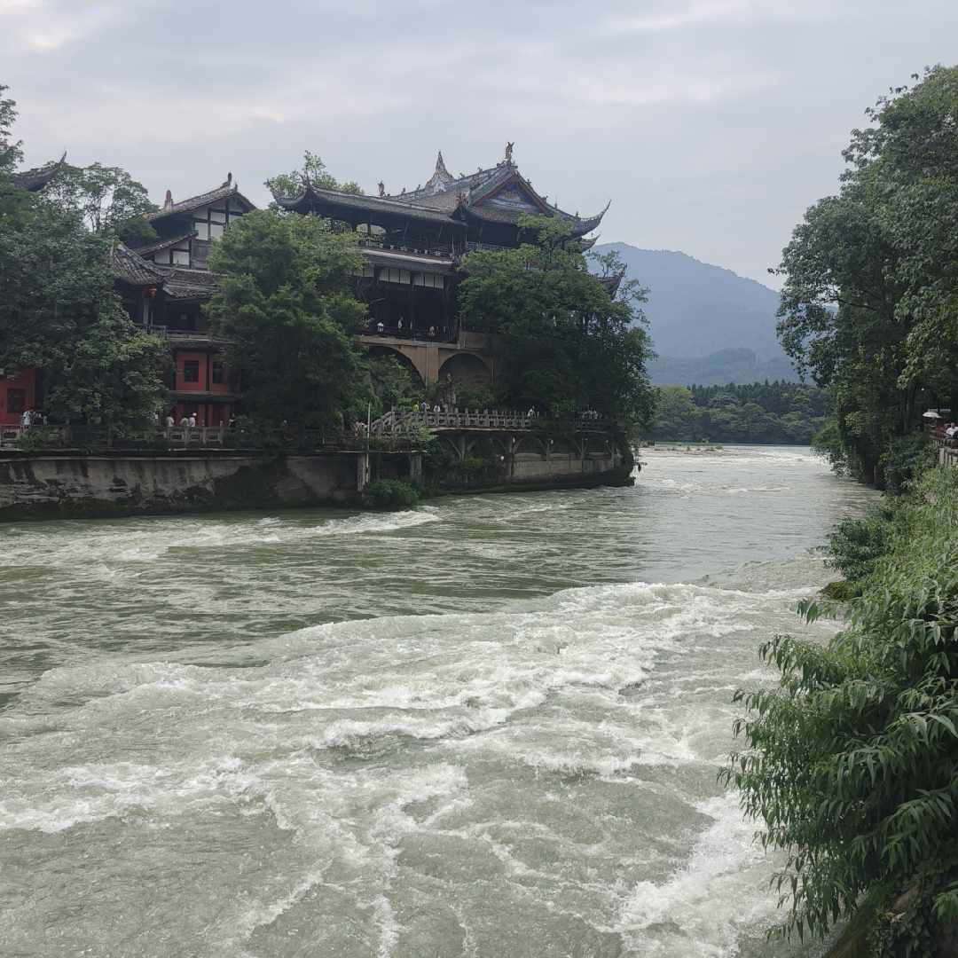 拍摄杨哥