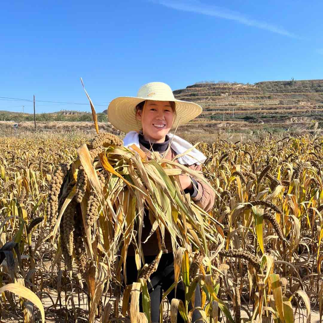 延安换换家农产品