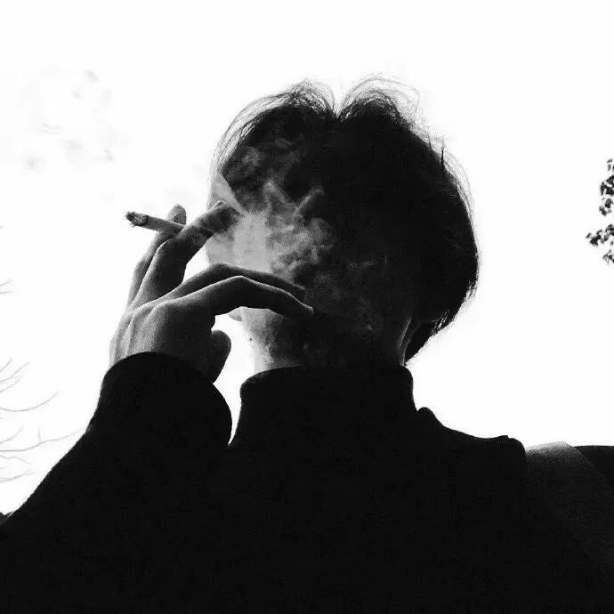 不知名的白熊