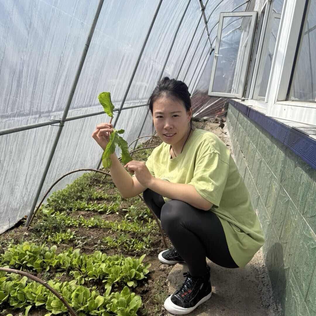 东北小爽一家人