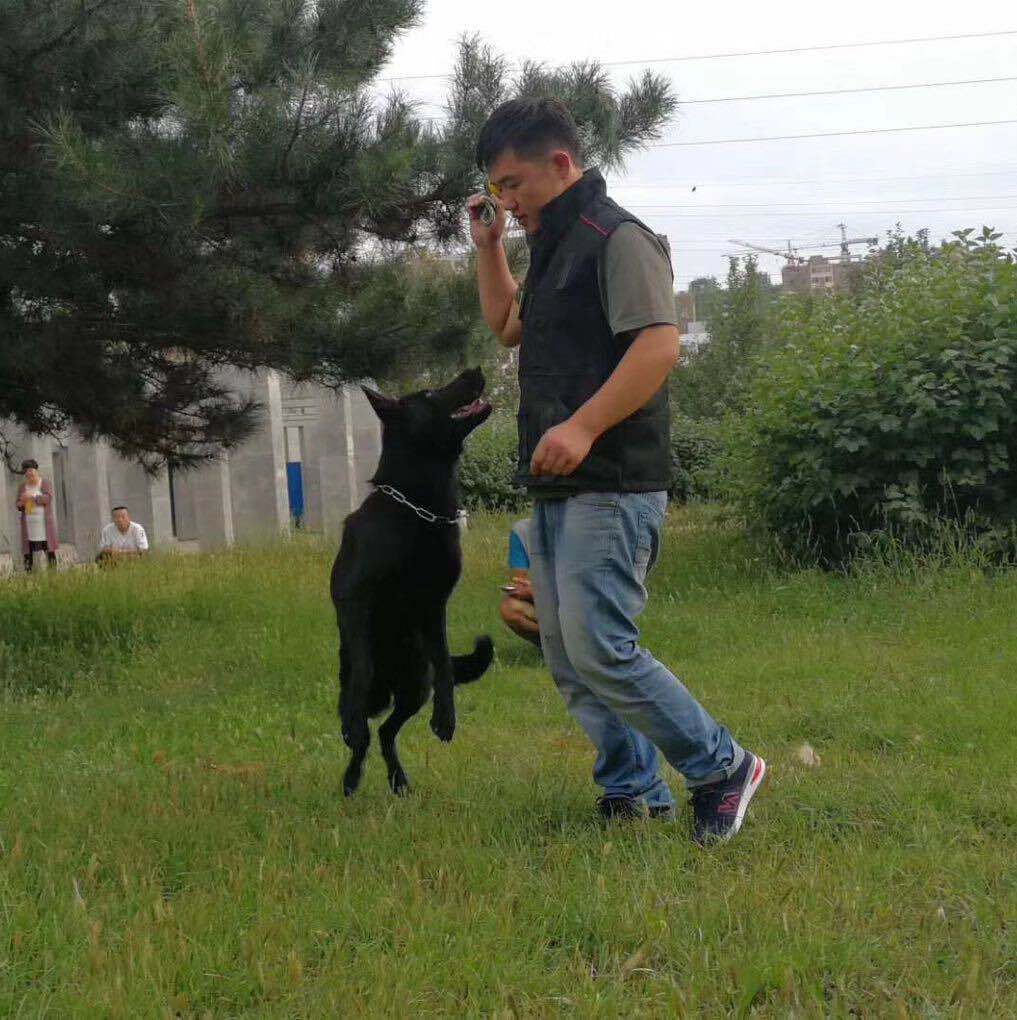 克瑞娜家的厨房