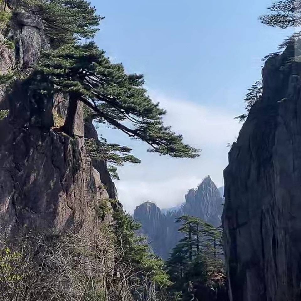 看开人生66