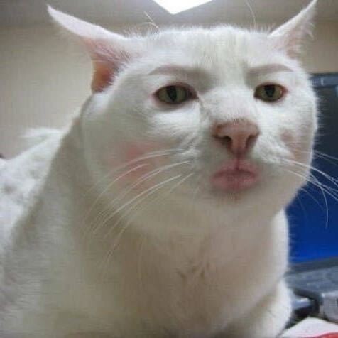 七里翔