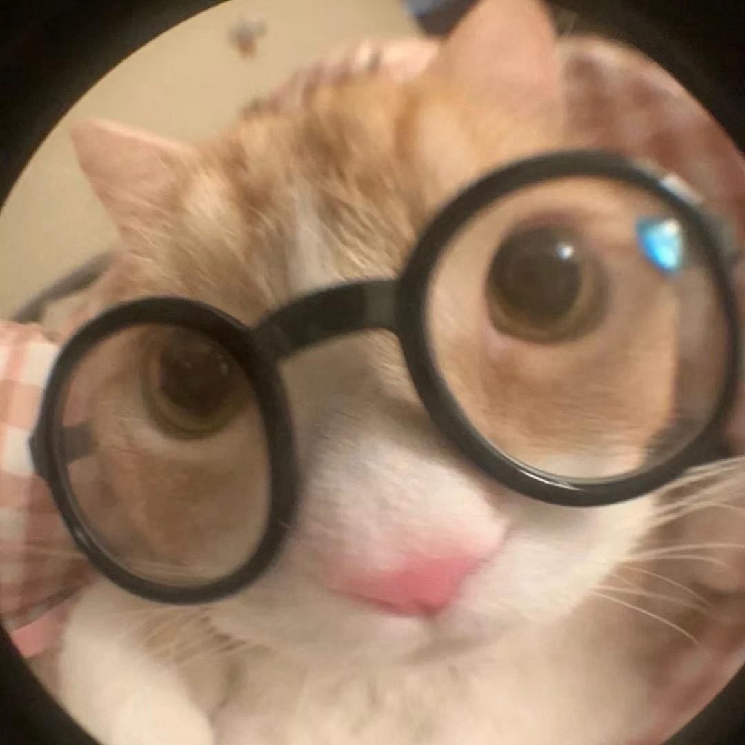 么凹猫的