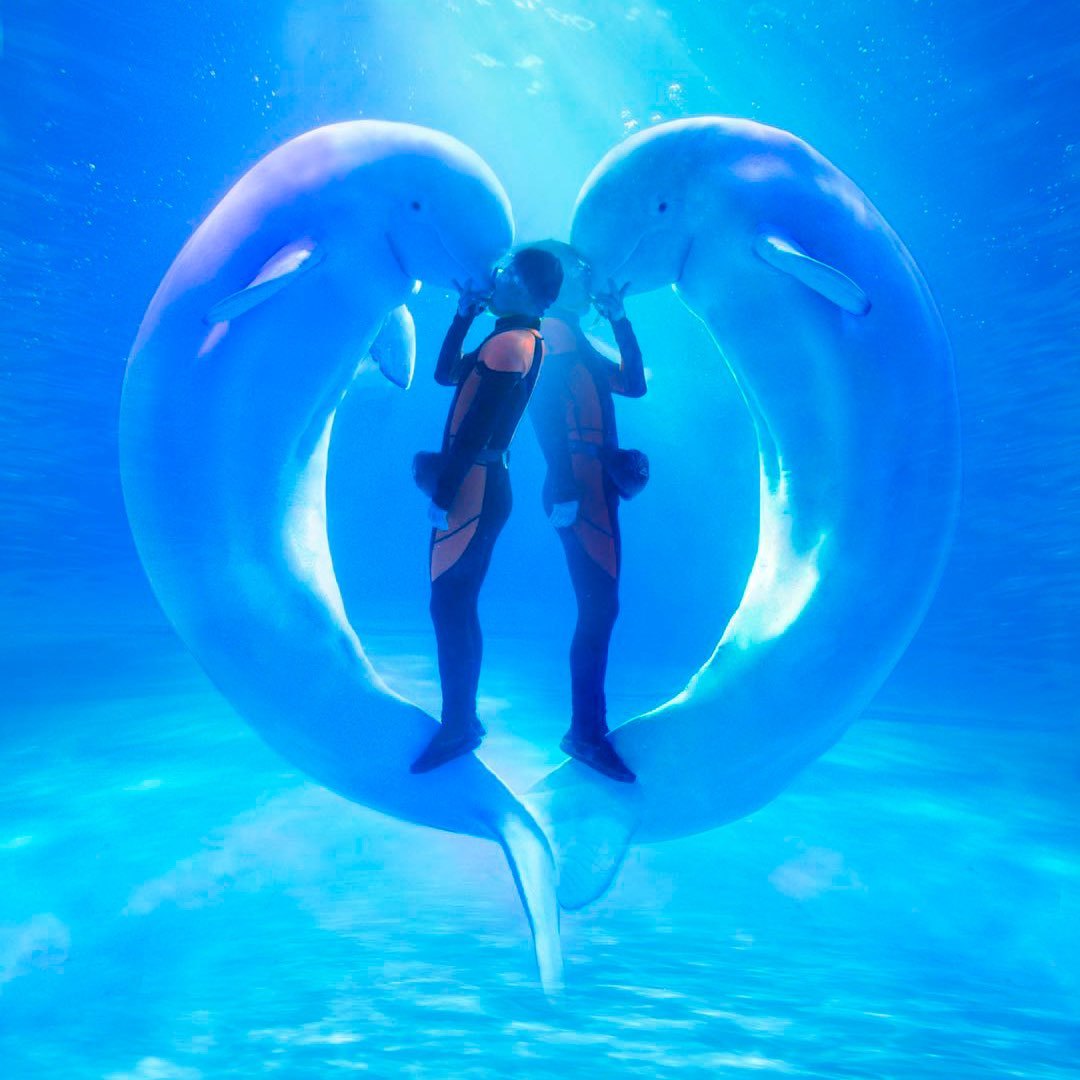 青岛极地海洋公园