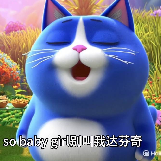 来财半月猫