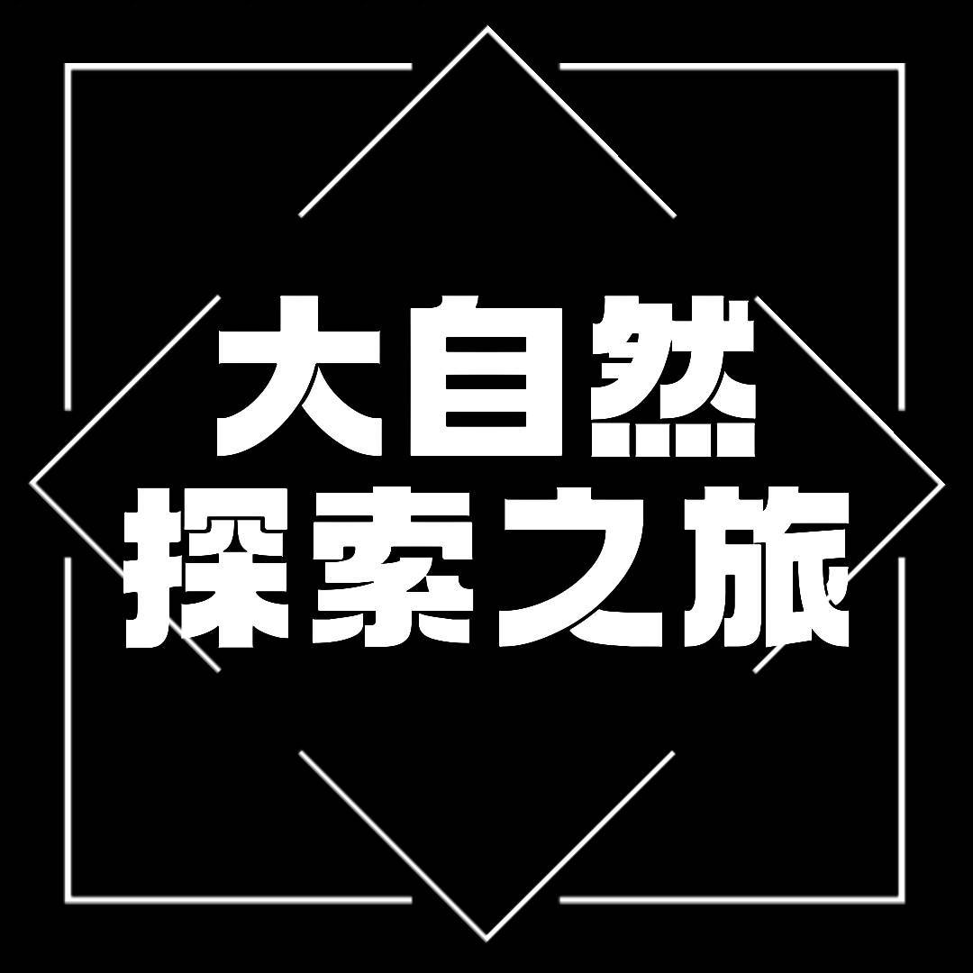 大自然探索之旅