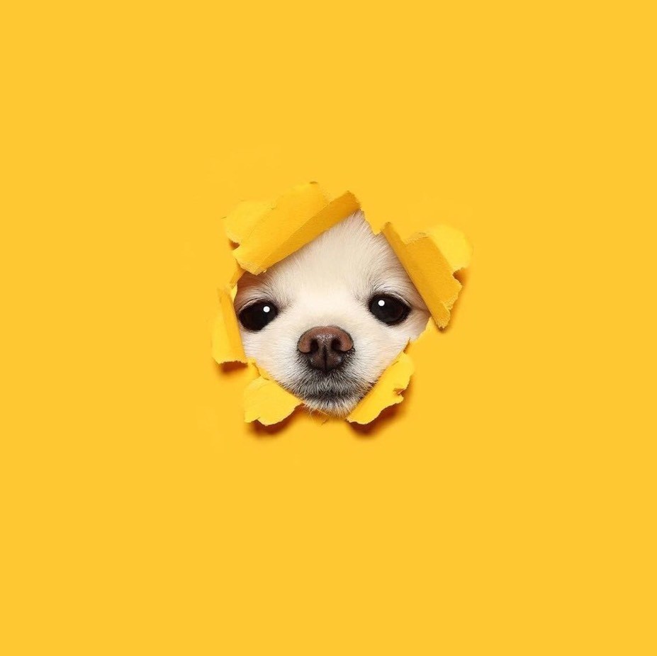 林萌不酸QnQ