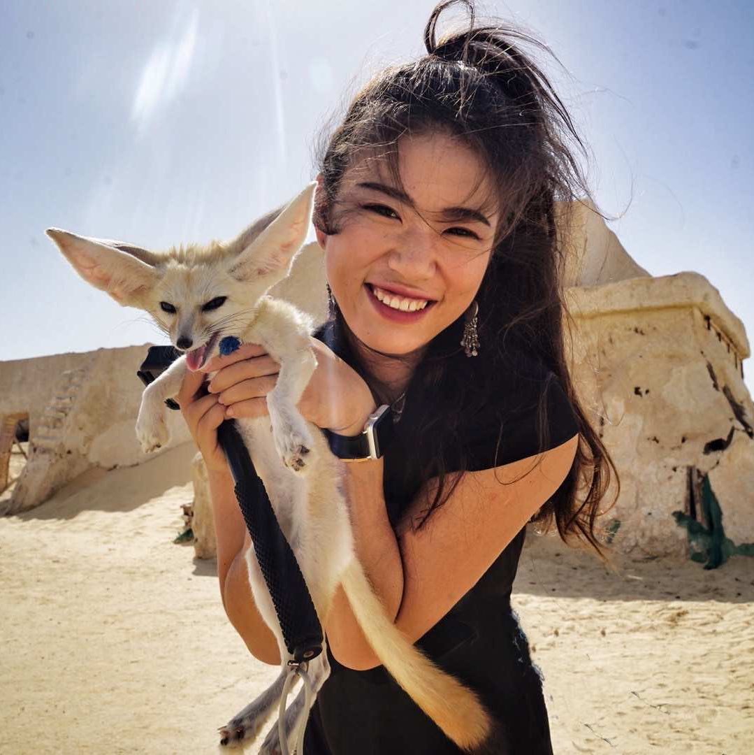 苏菲的野生旅行