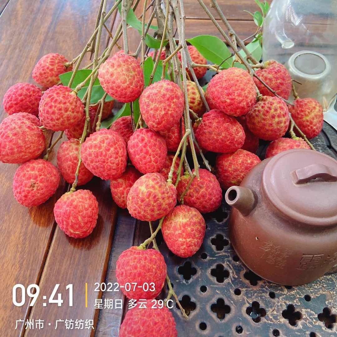 进奉小子
