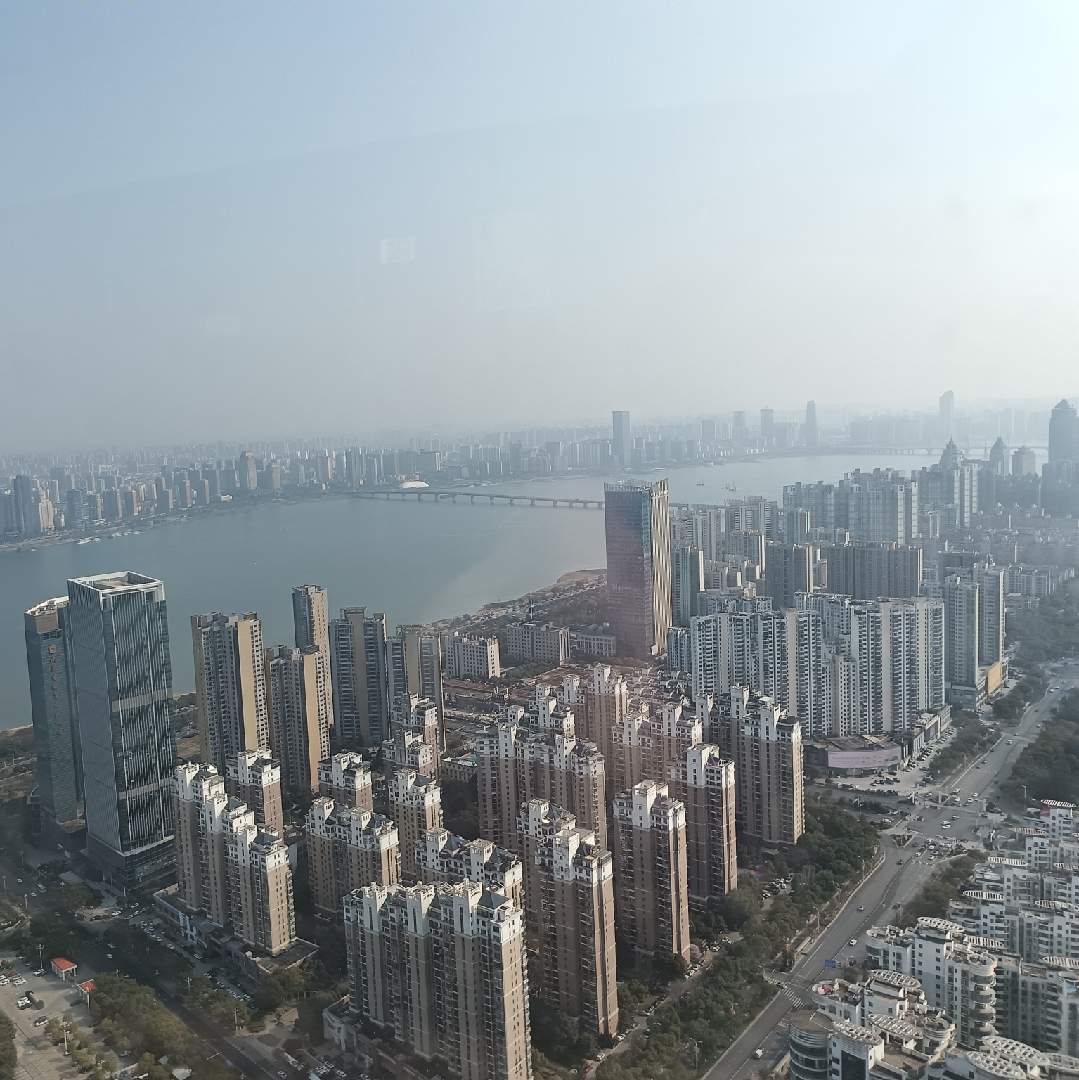 书堆里的挑书匠