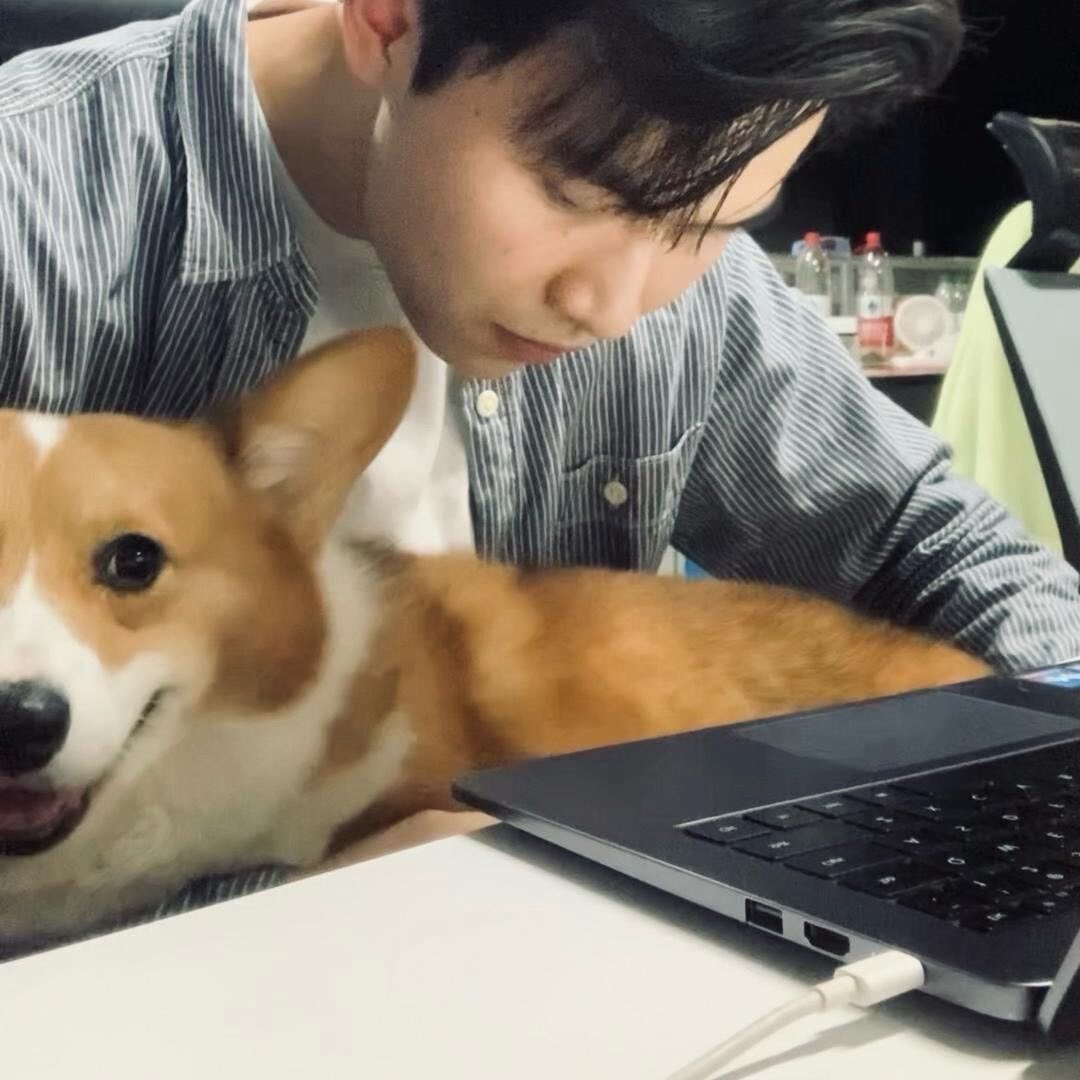 银锋的咚咚和灰灰