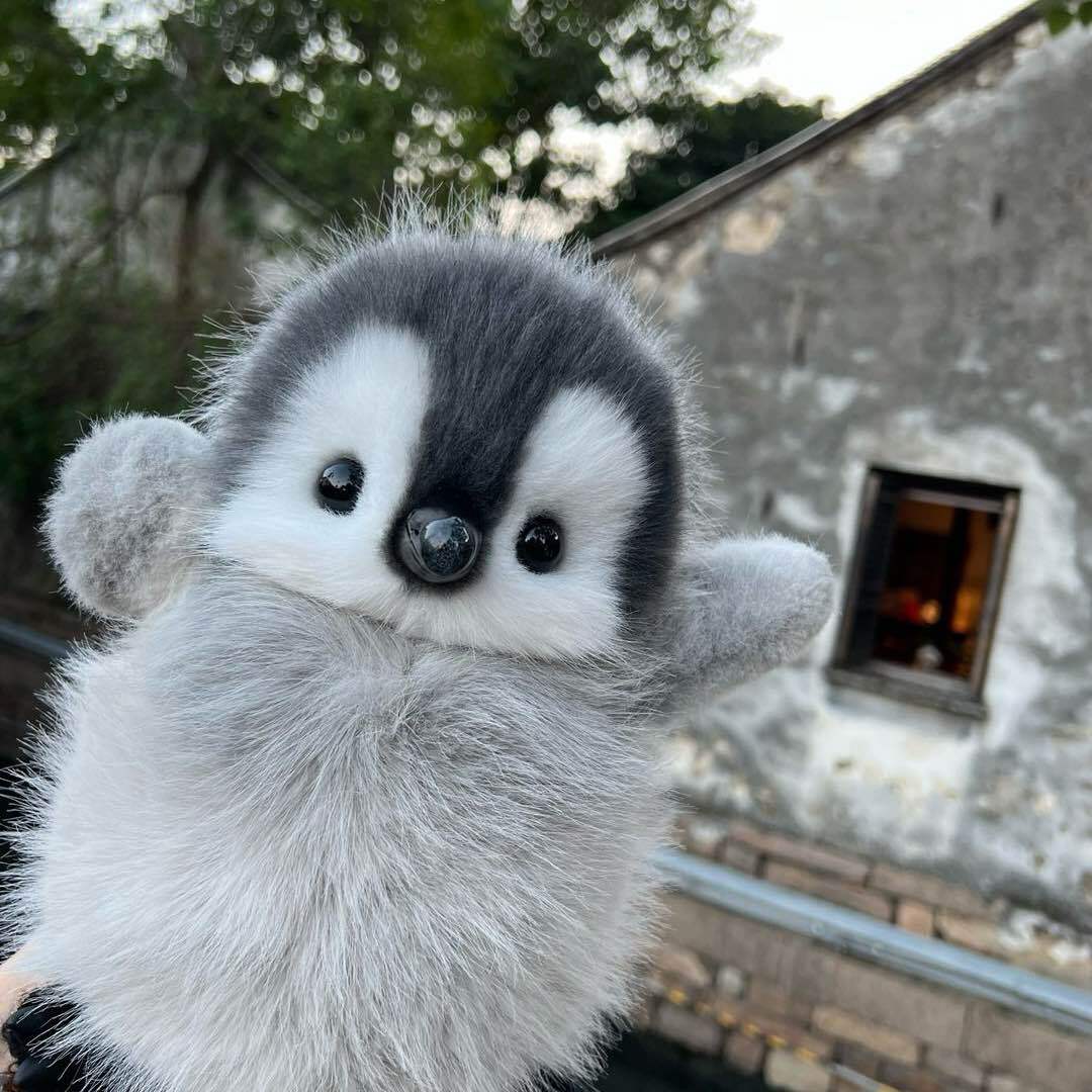 YOMeeDoll小企鹅窝窝