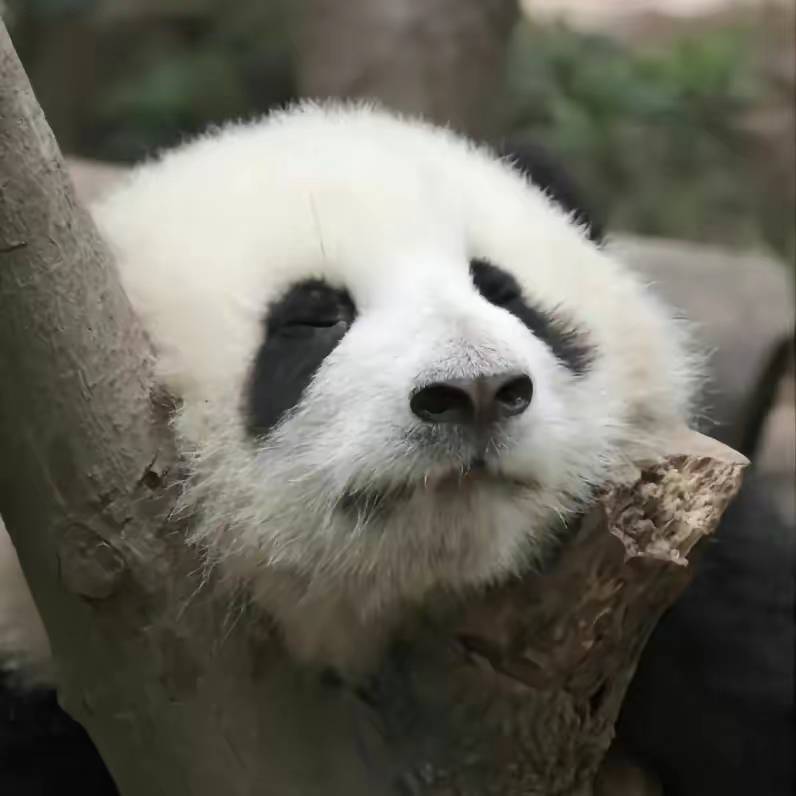 炎炎保安-炎炎搞笑配音