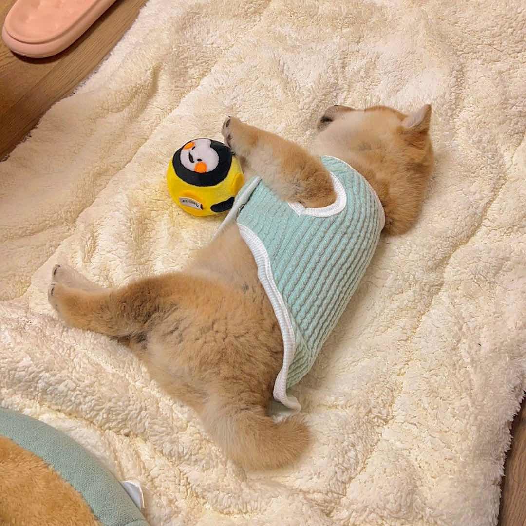 今天也很想财财