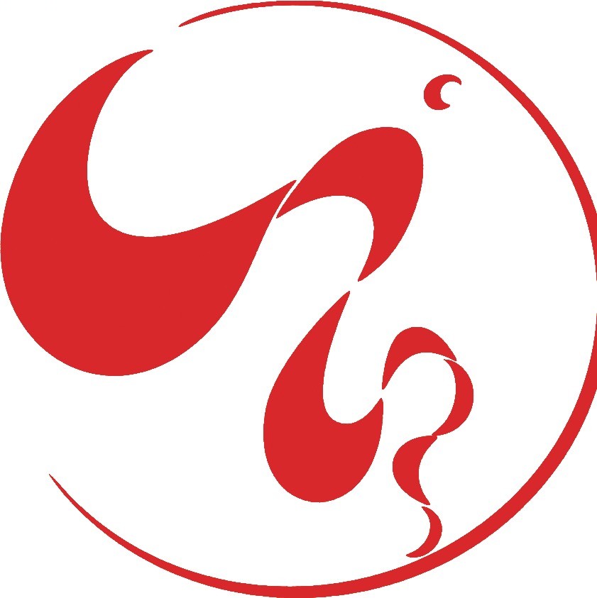 中国舞蹈家协会