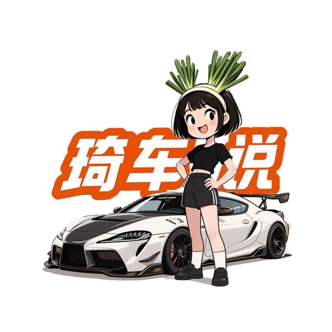 琦车说