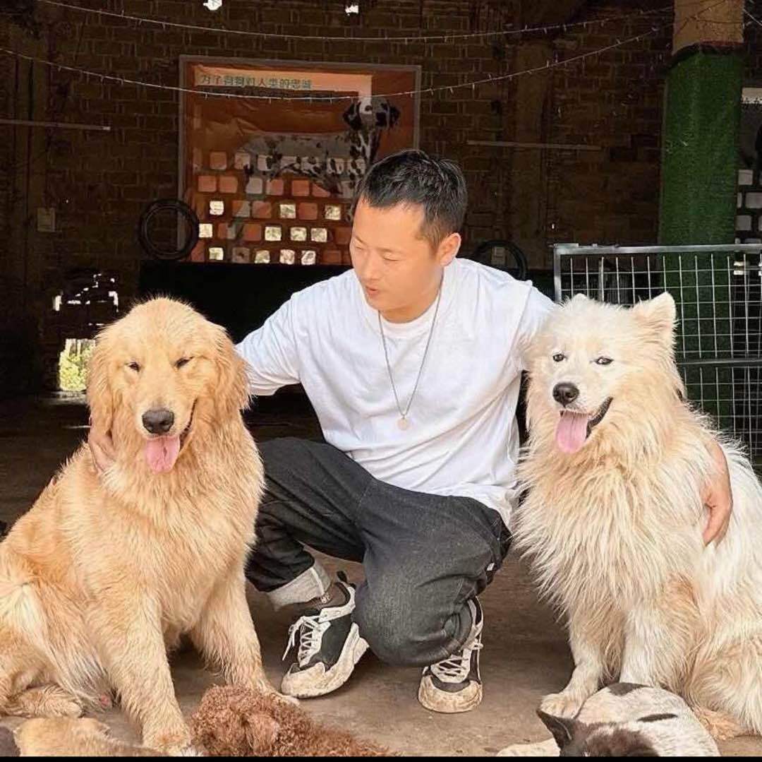 江西杨哥流浪狗救助者