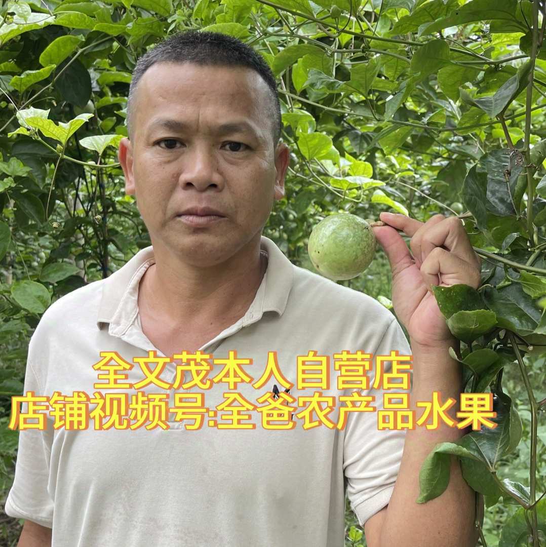 全爸农产品水果