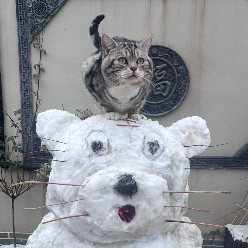 灶台三兄弟