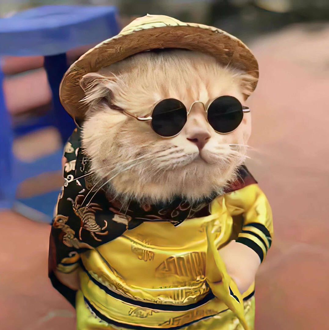 壹只靓仔搞笑配音