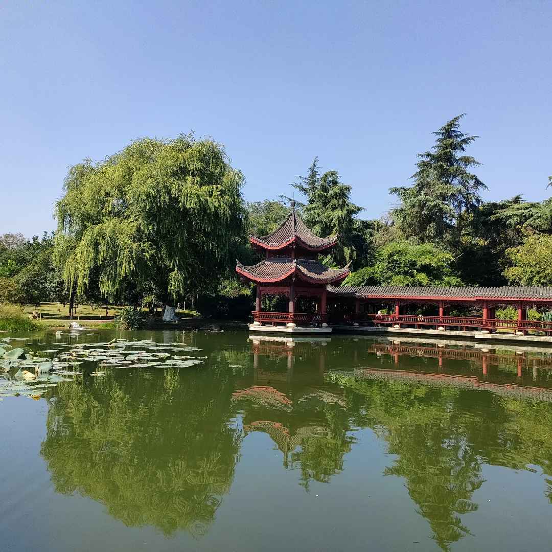 倪老师爱食养