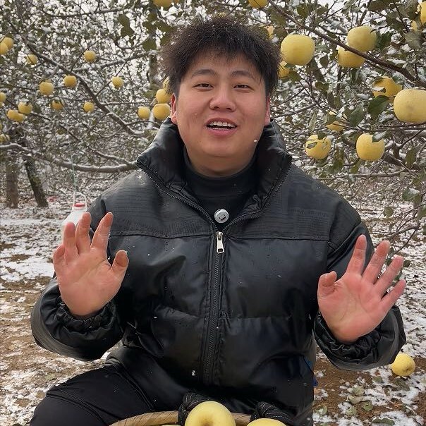 农人阿舟家的果园