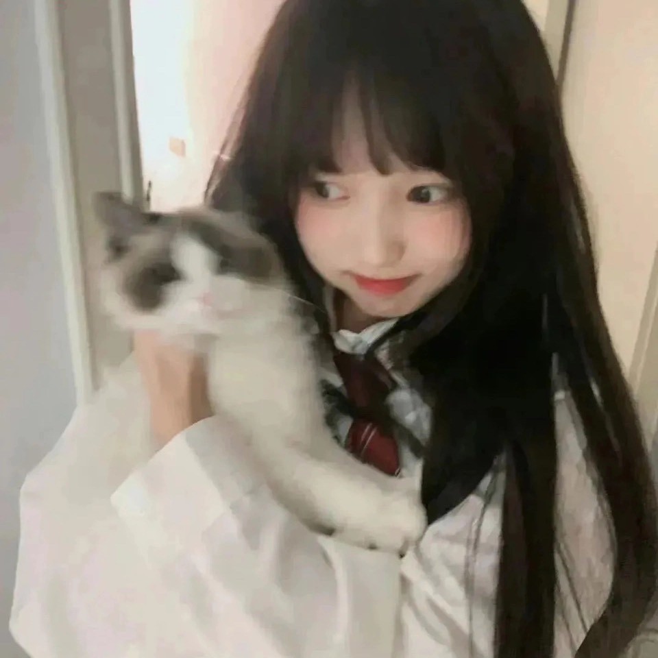 松月诗