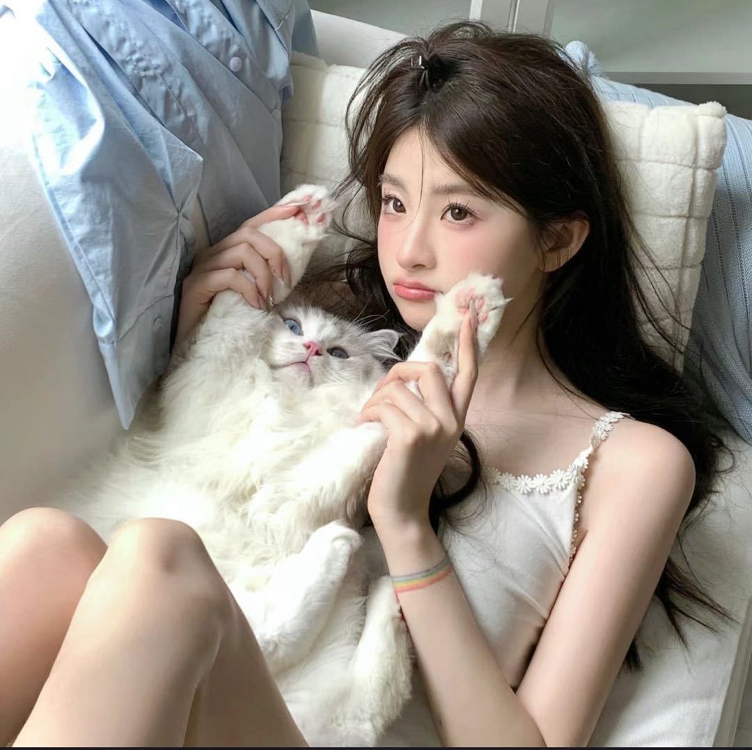 西瓜猫咪呀.